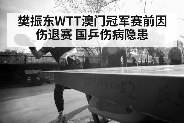 樊振东WTT澳门冠军赛前因伤退赛 国乒伤病隐患