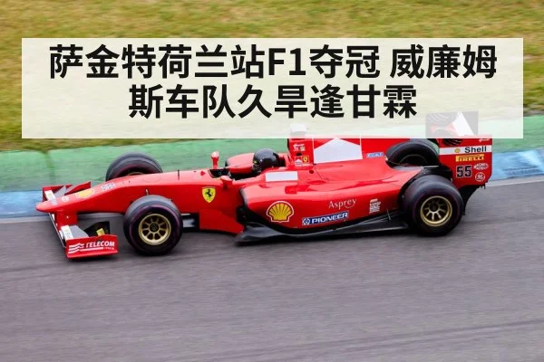 萨金特荷兰站F1夺冠 威廉姆斯车队久旱逢甘霖 | KAIYUN SPORTS